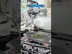 Ligne d'assemblage du panneau de porte de voiture:pressage de bandes d'éponges → soudage par rivetage à chaud → serrage des vis